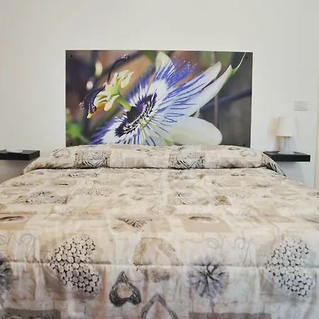 Angelina Bed & Breakfast